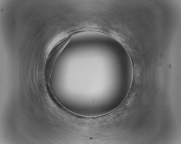 X0000066080007200603171042