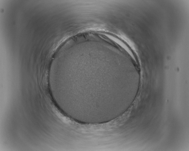 X0000066080009200603171042