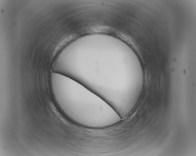 X0000066080010200603171042