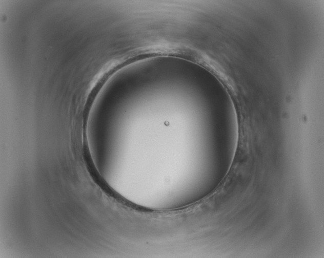 X0000066080011200603171042