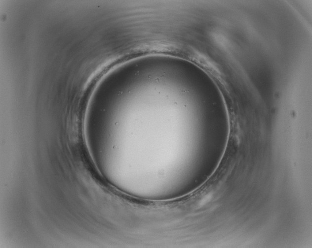 X0000066080012200603171042