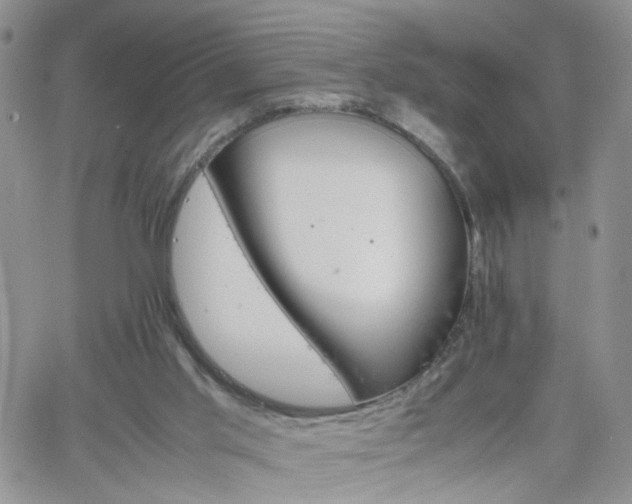 X0000066080013200603171042