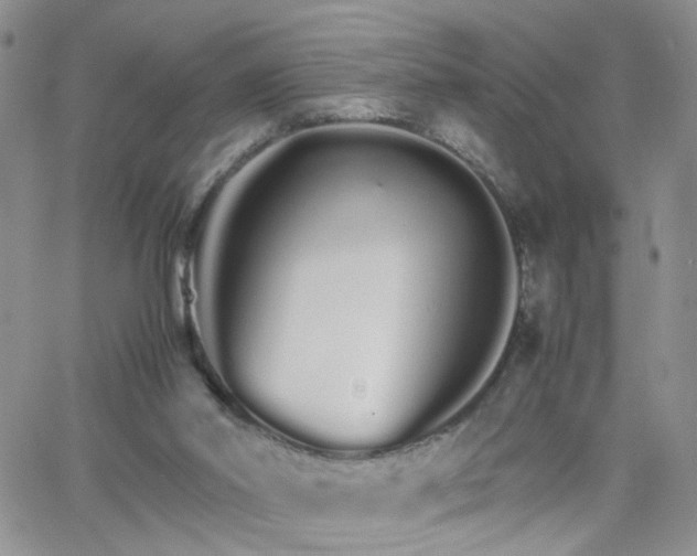 X0000066080014200603171042