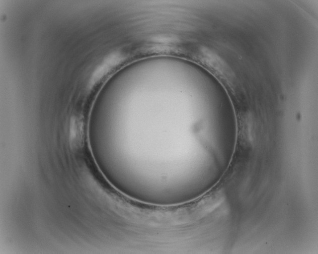 X0000066080016200603171042