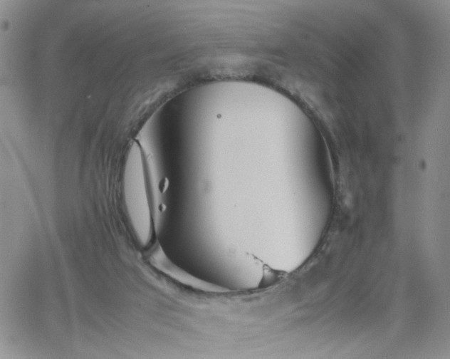 X0000066080017200603171042