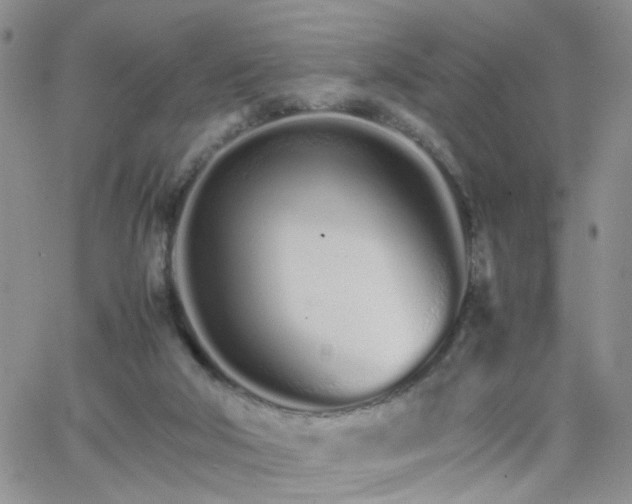 X0000066080018200603171042