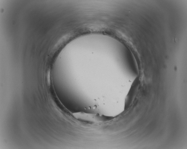 X0000066080019200603171042