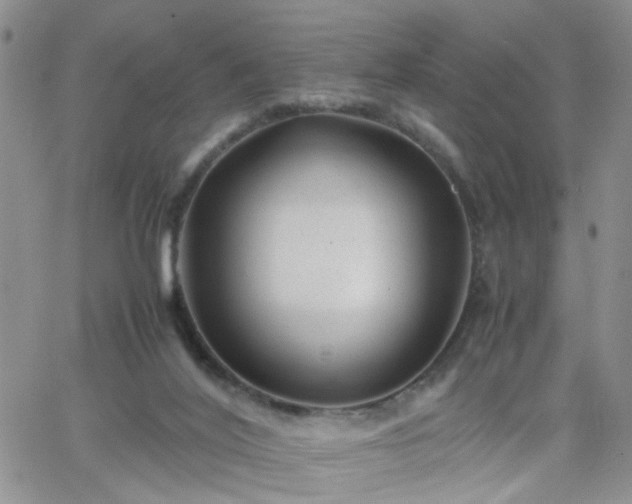 X0000066080020200603171042