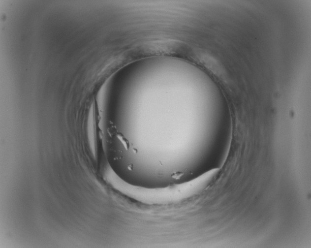 X0000066080021200603171042