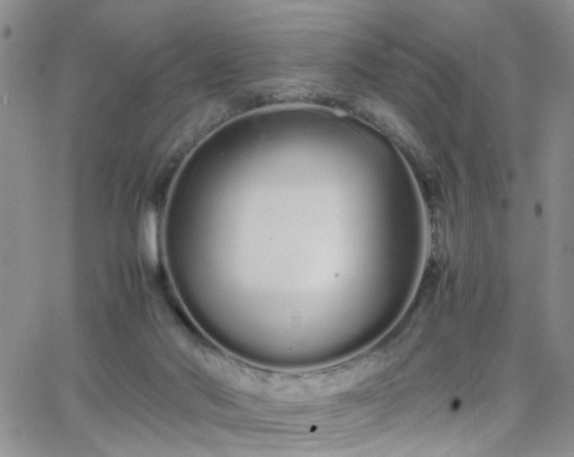 X0000066080022200603171042