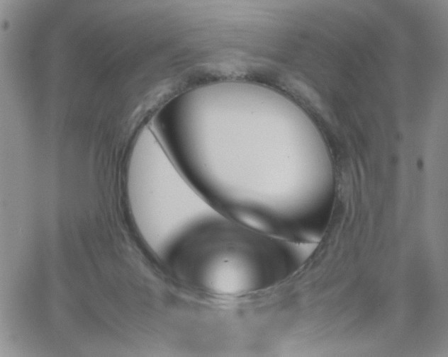 X0000066080023200603171042