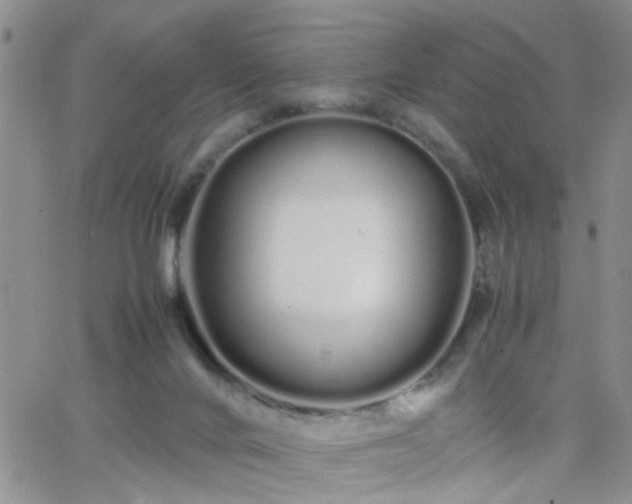 X0000066080024200603171042