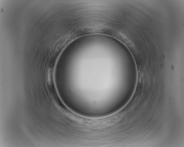 X0000066080026200603171042