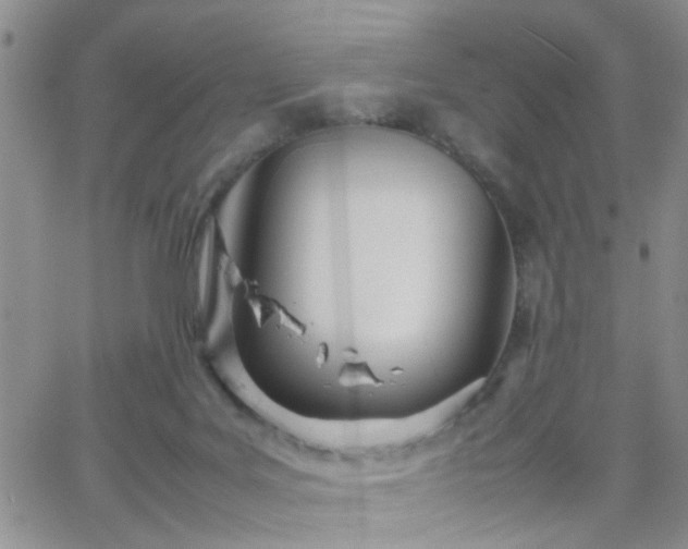 X0000066080027200603171042