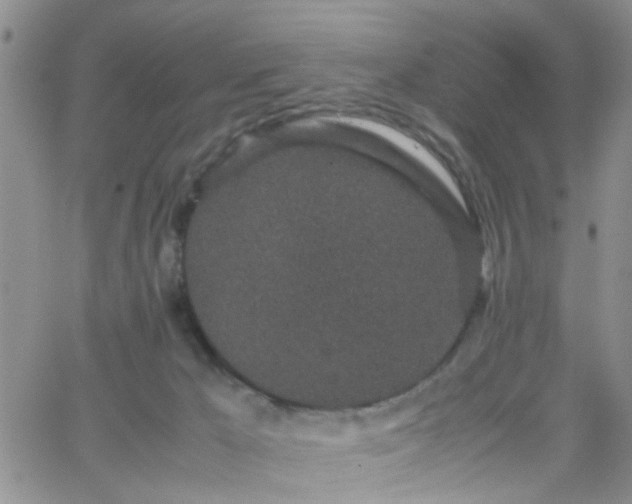 X0000066080029200603171041