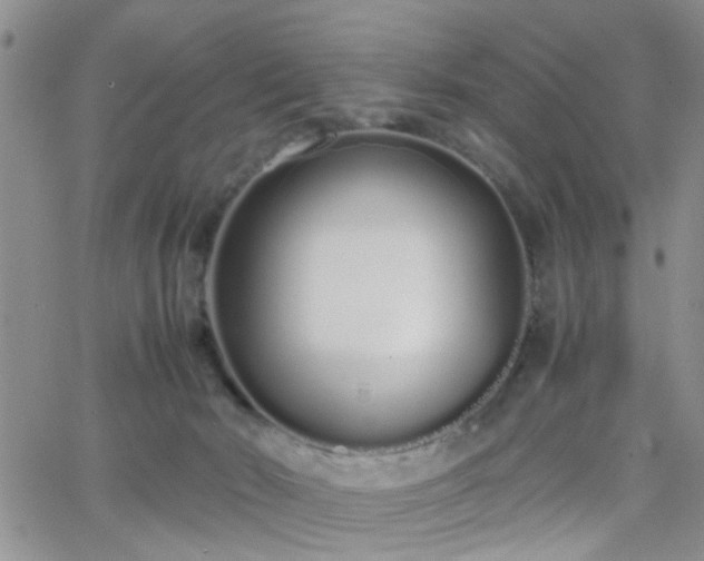 X0000066080030200603171041