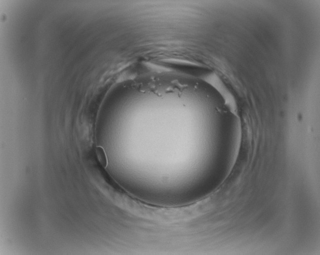 X0000066080031200603171041