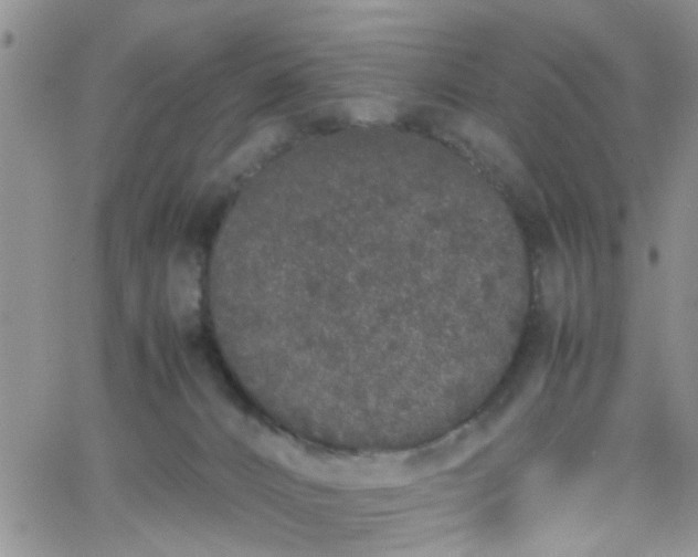 X0000066080032200603171041