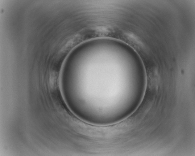 X0000066080034200603171041