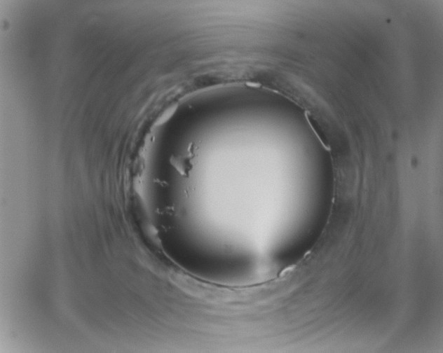 X0000066080035200603171041