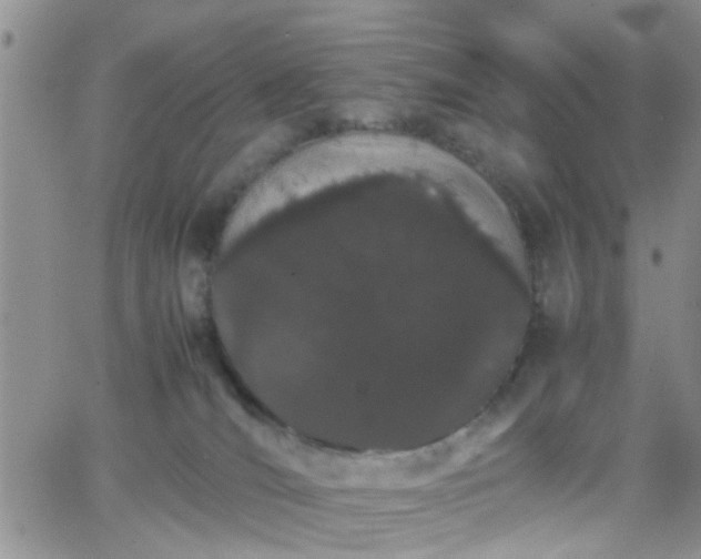 X0000066080036200603171041