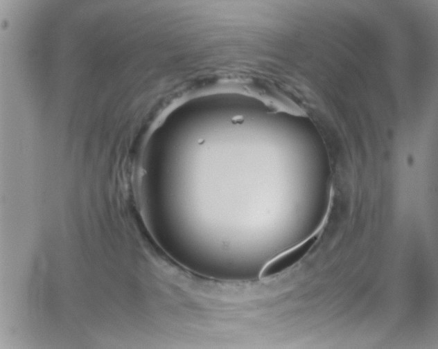 X0000066080037200603171041