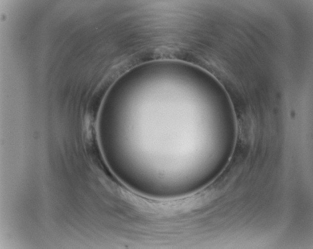 X0000066080038200603171041