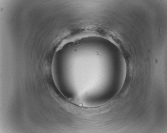 X0000066080039200603171041