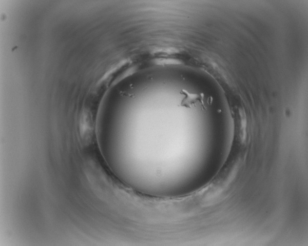 X0000066080040200603171041