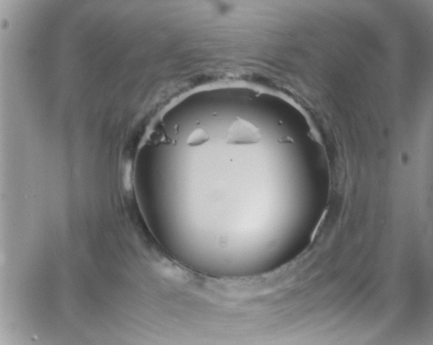 X0000066080041200603171041