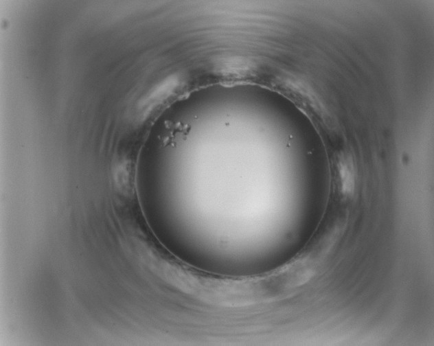 X0000066080044200603171041