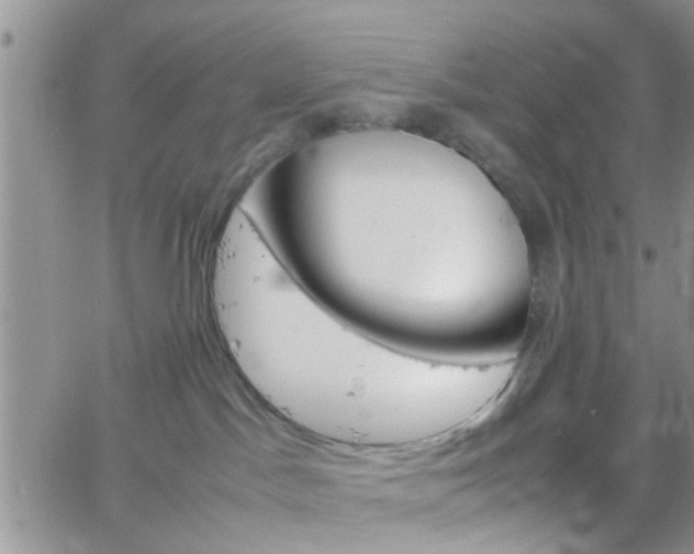 X0000066080045200603171041