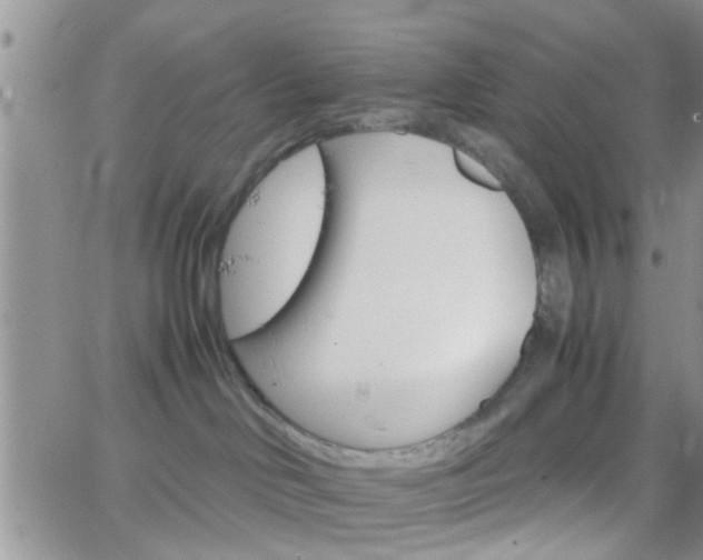 X0000066080046200603171041