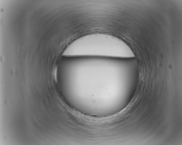 X0000066080047200603171041