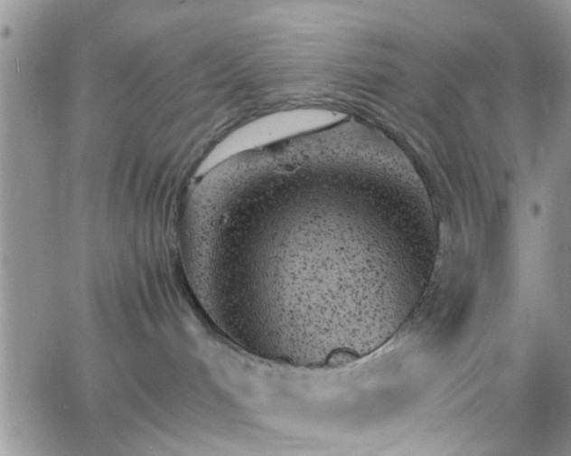 X0000066080048200603171041