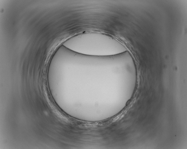 X0000066080049200603171040