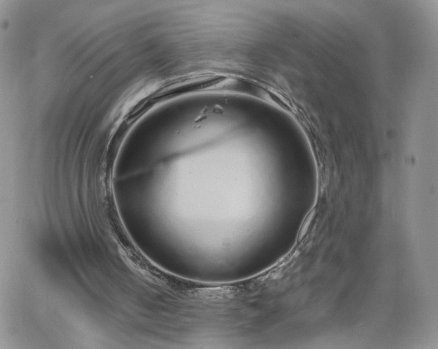 X0000066080050200603171040