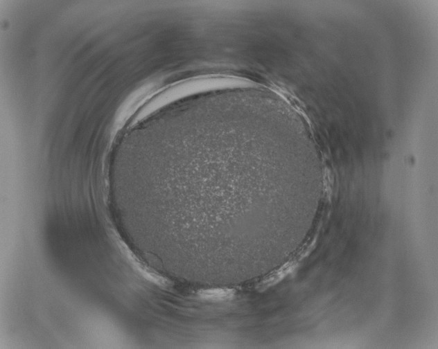 X0000066080053200603171040