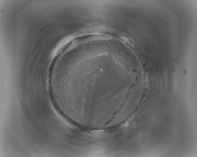 X0000066080054200603171040