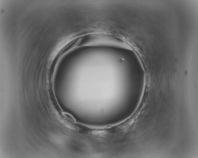 X0000066080055200603171041