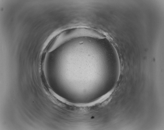 X0000066080056200603171041