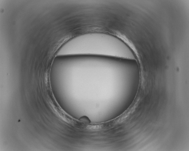 X0000066080057200603171041