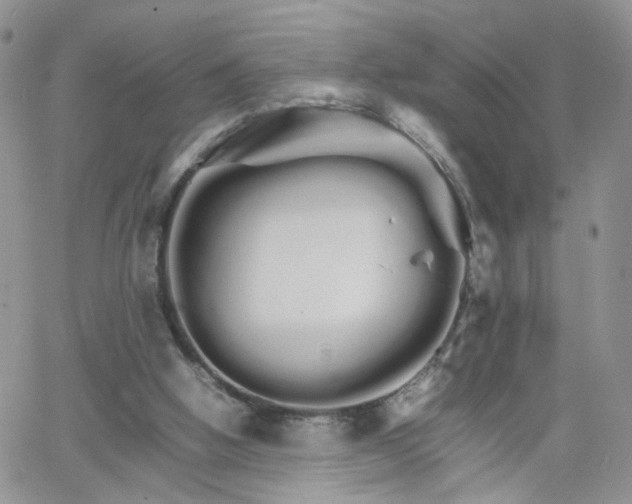 X0000066080058200603171041