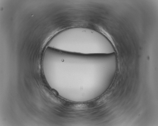 X0000066080059200603171041