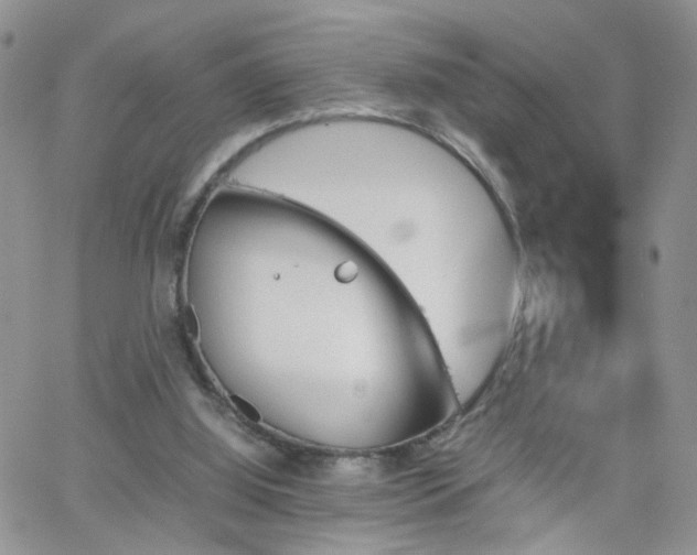 X0000066080060200603171041