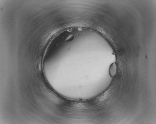 X0000066080062200603171041