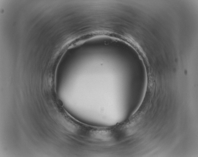 X0000066080063200603171041