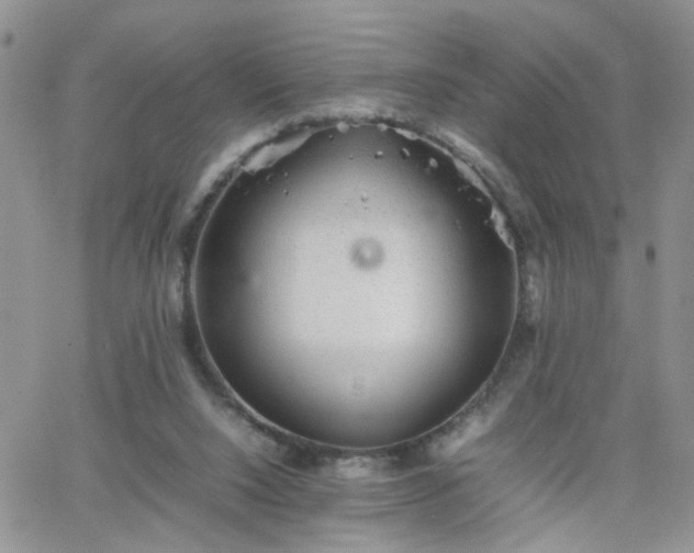 X0000066080064200603171041