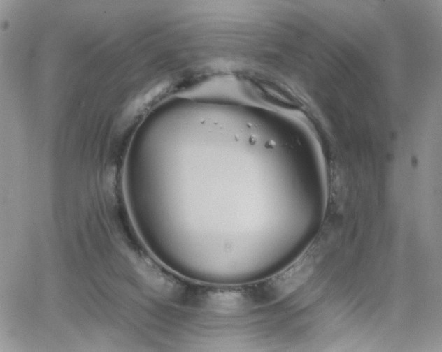 X0000066080066200603171041