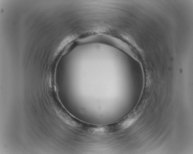 X0000066080068200603171041